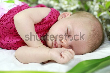 Baby girl of one month  in pink with spring flowers. Stock photo © iriana88w