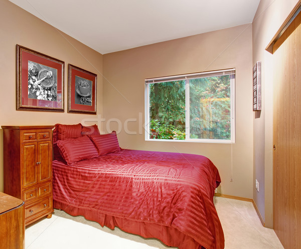Stylish bedroom with carpet, and one window. Stock photo © iriana88w