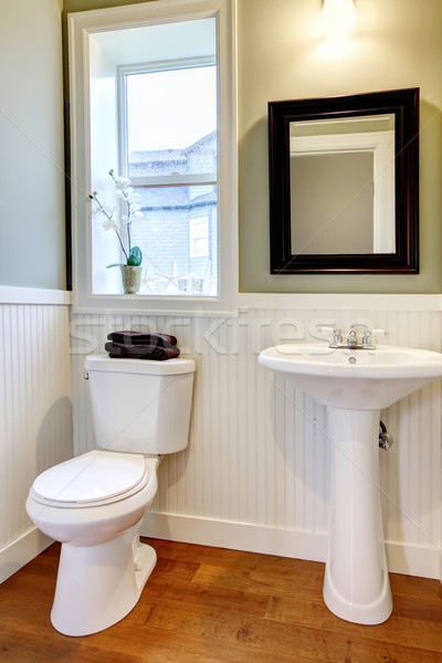 Stock photo: Small nice bathroom with green walls and cherry floor.