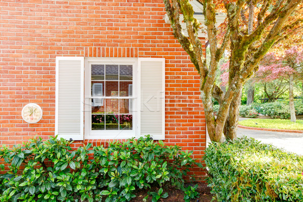 Brick house wall with white window and bushes. Stock photo © iriana88w