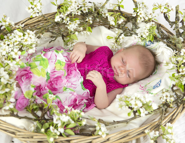 Stock photo: Baby girl in pink inside of basket with spring flowers.