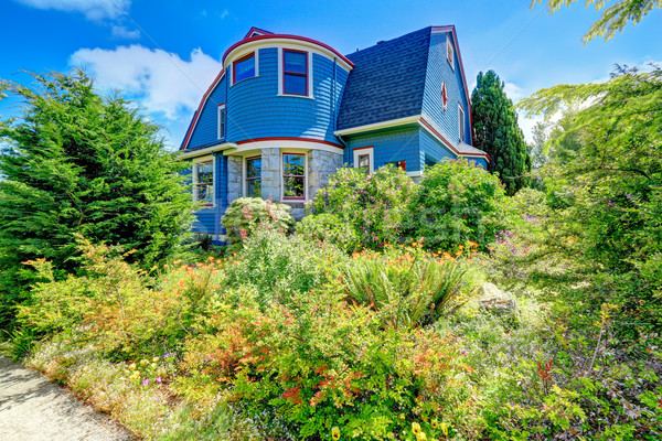 Blue house exterior with red trim Stock photo © iriana88w