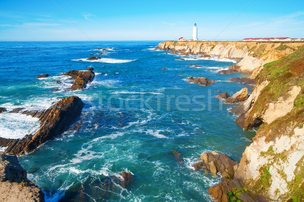 California Pigeon point Lighthouse Stock photo © iriana88w