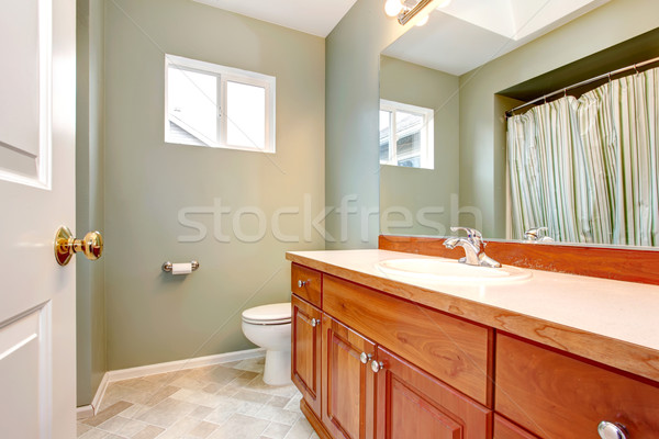 Foto stock: Verde · limpio · nuevos · bano · madera · blanco