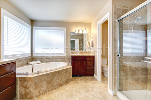 Modern fürdőszoba kád zuhany bézs ablakok Stock fotó © iriana88w