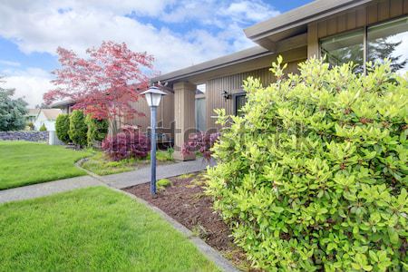 Backyard with green trees and corner of the porch. Stock photo © iriana88w