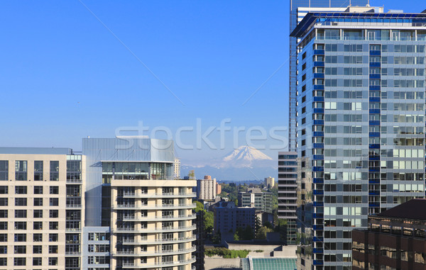 Seattle şehir merkezinde yeni dağ binalar ufuk çizgisi Stok fotoğraf © iriana88w