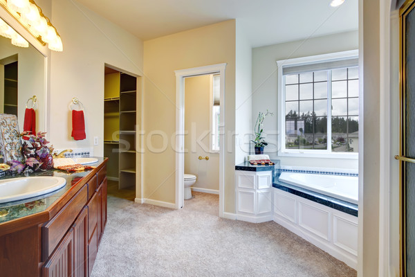 Luxus fürdőszoba belső kilátás francia ablak Stock fotó © iriana88w