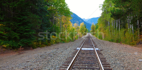 Railroad in the fall forest with mountains. Stock photo © iriana88w