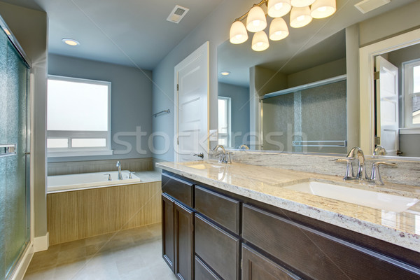 Perfect bathroom with nice glossy counters. Stock photo © iriana88w