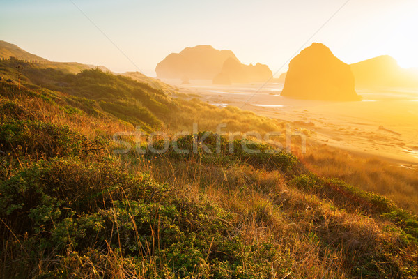 Sunrise Oregon côte océan canon plage Photo stock © iriana88w