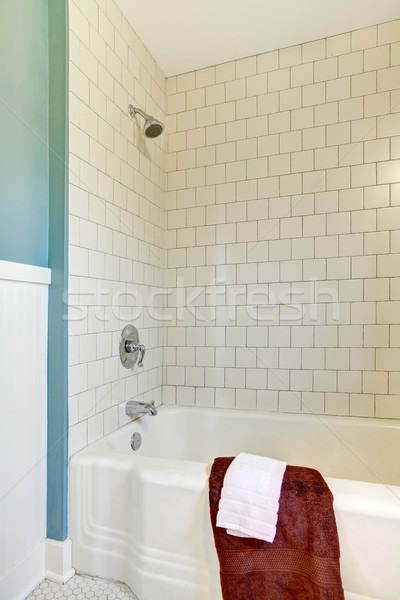 Shower and tub with white classic tile and blue wall. Stock photo © iriana88w