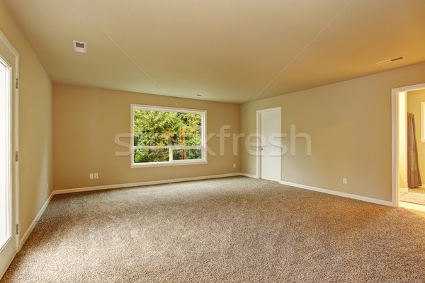 Unfurnished bedroom with carpet. Stock photo © iriana88w