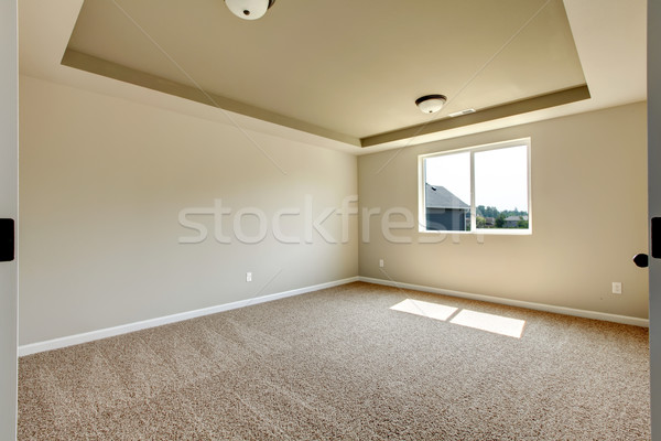 [[stock_photo]]: Nouvelle · salle · vide · beige · tapis · développement