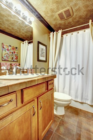 Meleg kényelmes fürdőszoba függönyök csíkos tapéta Stock fotó © iriana88w