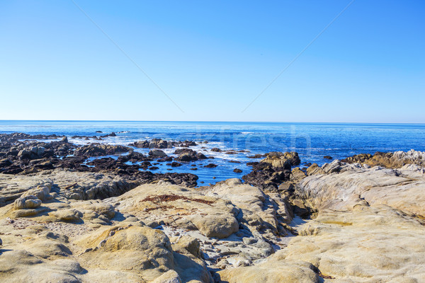 Stones ocean beach. Carmel, California Stock photo © iriana88w