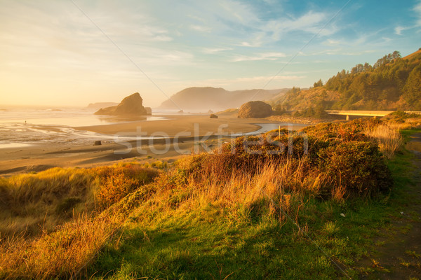 Sunrise at Oregon coast, Pacific ocean, Cannon beach Stock photo © iriana88w