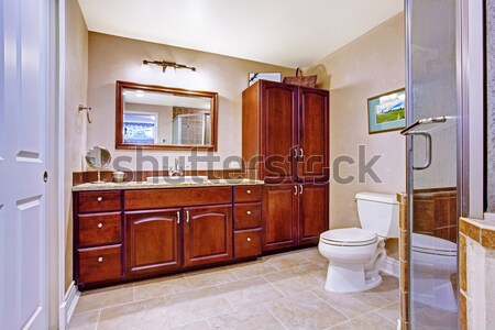 Salle de bain vanité placard tiroirs deux blanche Photo stock © iriana88w