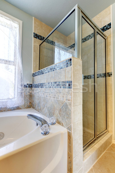 Interior design - bathroom corner with walk-in shower and beauti Stock photo © iriana88w