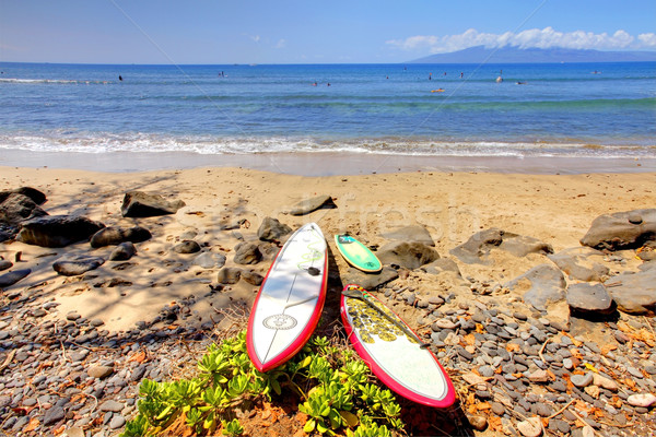 Plage surf sable nuages herbe [[stock_photo]] © iriana88w