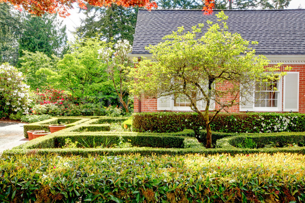 Ziegel rot Haus Englisch Garten weiß Stock foto © iriana88w