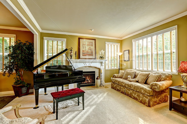 Luxury family room with grand piano Stock photo © iriana88w