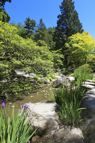 Stok fotoğraf: Japon · bahçe · Seattle · taşlar · gölet · su