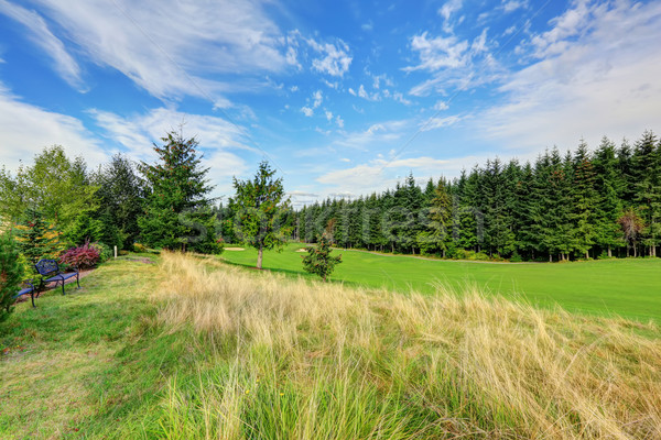 красивой пейзаж вечнозеленый Вашингтон поздно лет Сток-фото © iriana88w