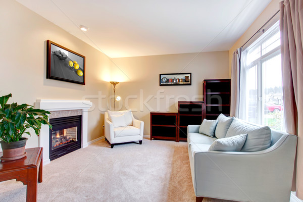 Elegant modern American living room interior with fireplace. Stock photo © iriana88w
