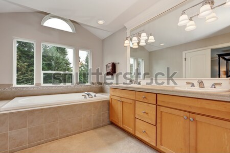 Elegant kitchen with stained cabinets. Stock photo © iriana88w