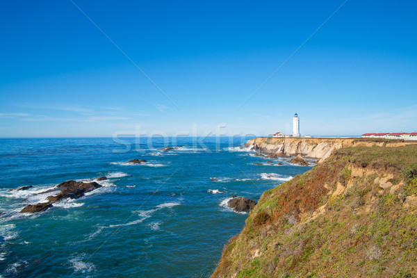 California Pigeon point Lighthouse Stock photo © iriana88w