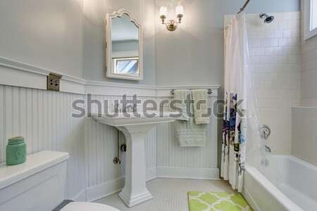 Proste prostokąt łazienka próżność lustra ściany Zdjęcia stock © iriana88w
