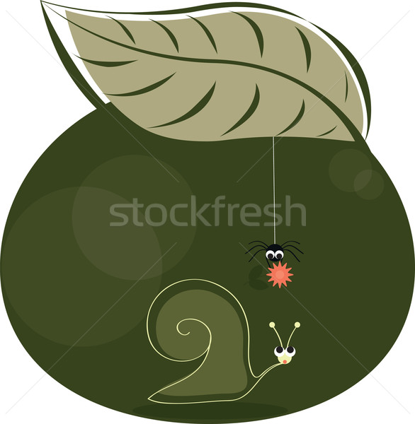 snail and spider Stock photo © Irinavk