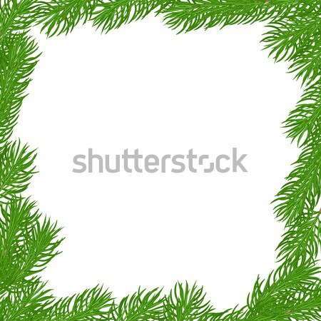 Natural square frame Stock photo © Irinka_Spirid