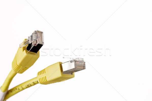 Two telecommunication cable with connector RJ45 Stock photo © ironstealth