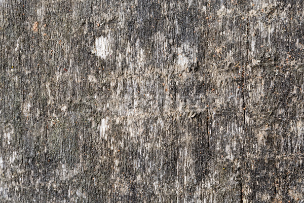 Jahrgang Holzstruktur abstrakten leer Vorlage Holz Stock foto © ironstealth