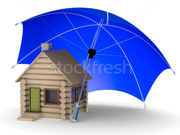 Insurance of habitation. Isolated 3D image on white background Stock photo © ISerg