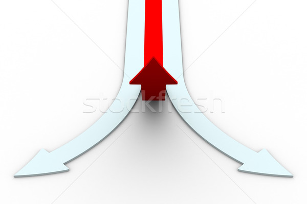 Movement direction to success. Isolated 3D image Stock photo © ISerg