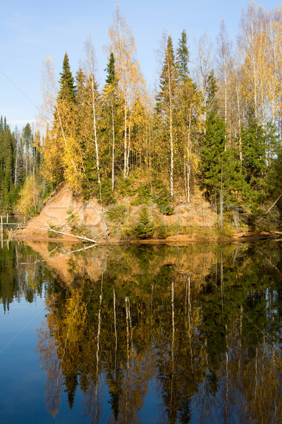 Beautiful autumn landscape. The nature. Stock photo © ISerg