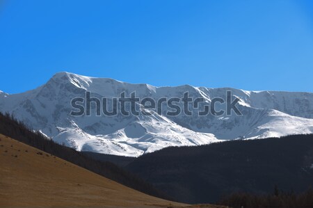Zdjęcia stock: Góry · piękna · krajobraz · syberia · niebo · lodu