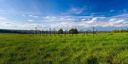 Stock photo: Beautiful summer landscape. The nature. Panorama