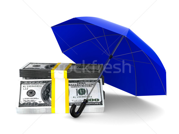 Schutz Geld isoliert 3D Bild weiß Stock foto © ISerg
