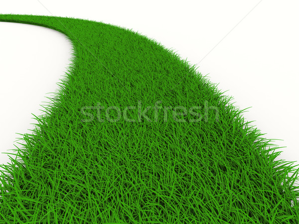 road from grass on white. Isolated 3D image Stock photo © ISerg