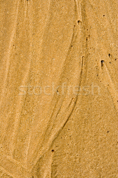 Structure from wet beach sand Stock photo © ISerg
