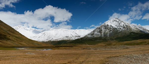 Altai mountains. Beautiful highland landscape. Russia. Siberia Stock photo © ISerg