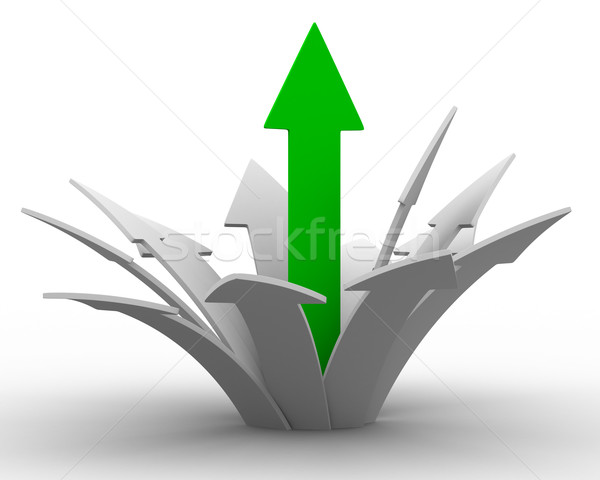 Movement direction to success. Isolated 3D image Stock photo © ISerg