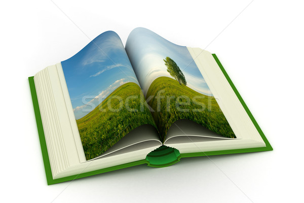 Libro abierto paisaje 3D imagen nubes libro Foto stock © ISerg