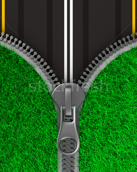 Zipper with grass and road. Isolated 3D image Stock photo © ISerg