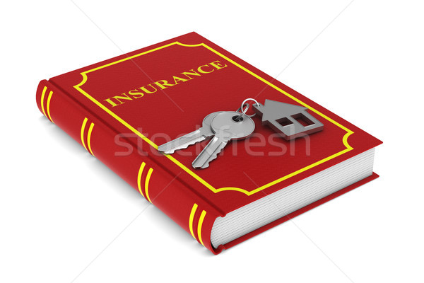 Twee sleutels huis Rood boek Stockfoto © ISerg