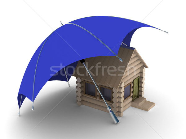 Insurance of habitation. Isolated 3D image on white background Stock photo © ISerg